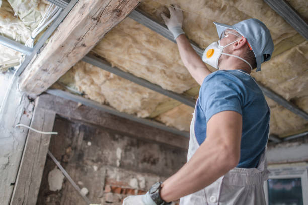 Attic Insulation Near Me in Oak Park, IL